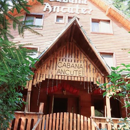 Cabana Ancutei Rucăr Exterior foto