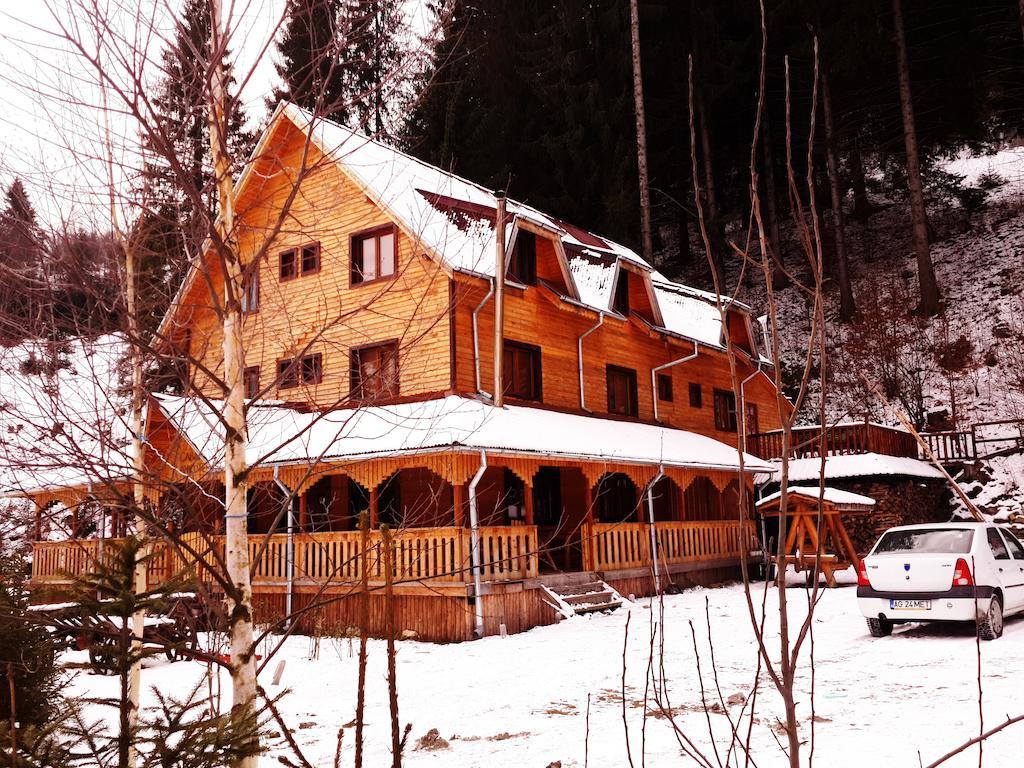 Cabana Ancutei Rucăr Exterior foto
