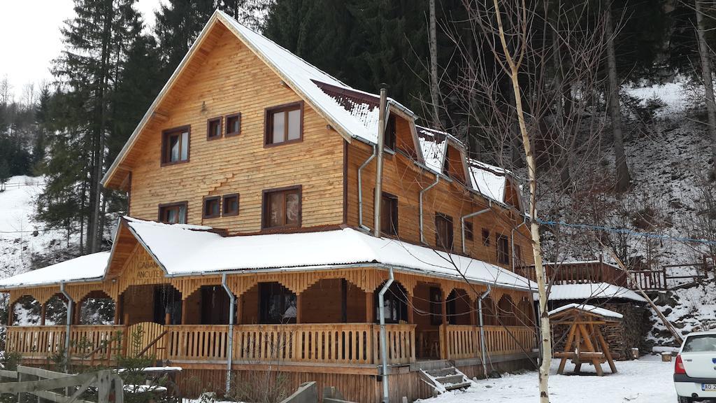 Cabana Ancutei Rucăr Exterior foto