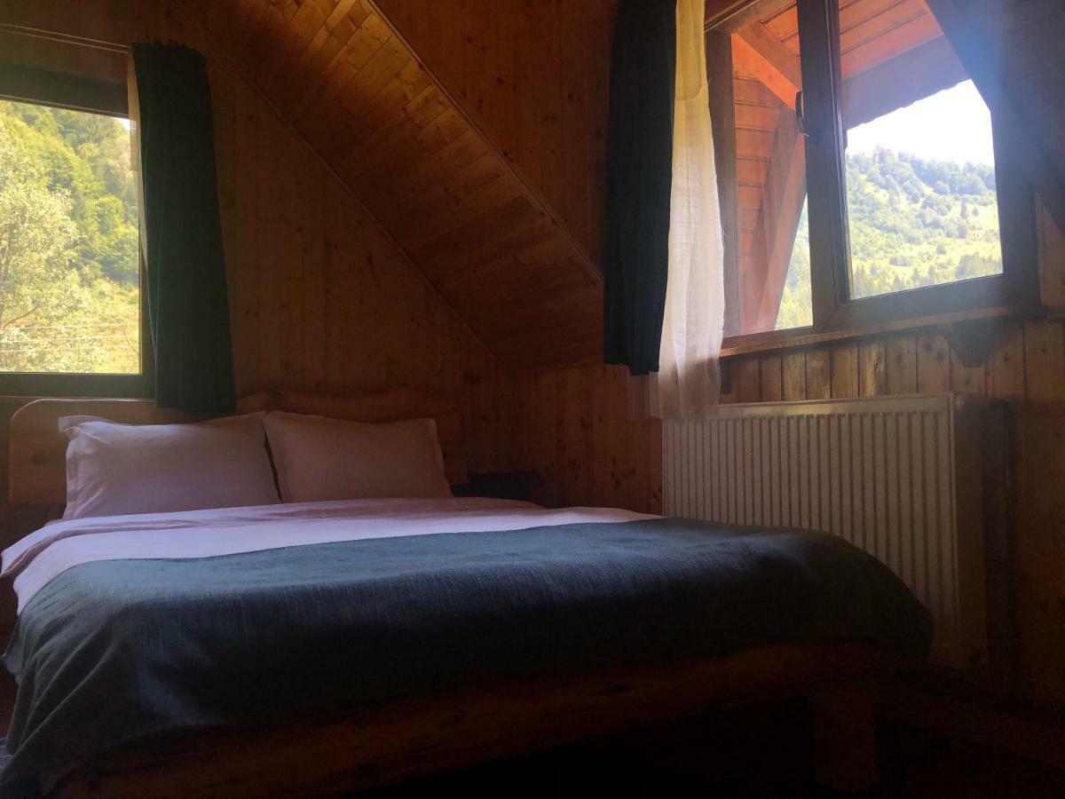 Cabana Ancutei Rucăr Exterior foto